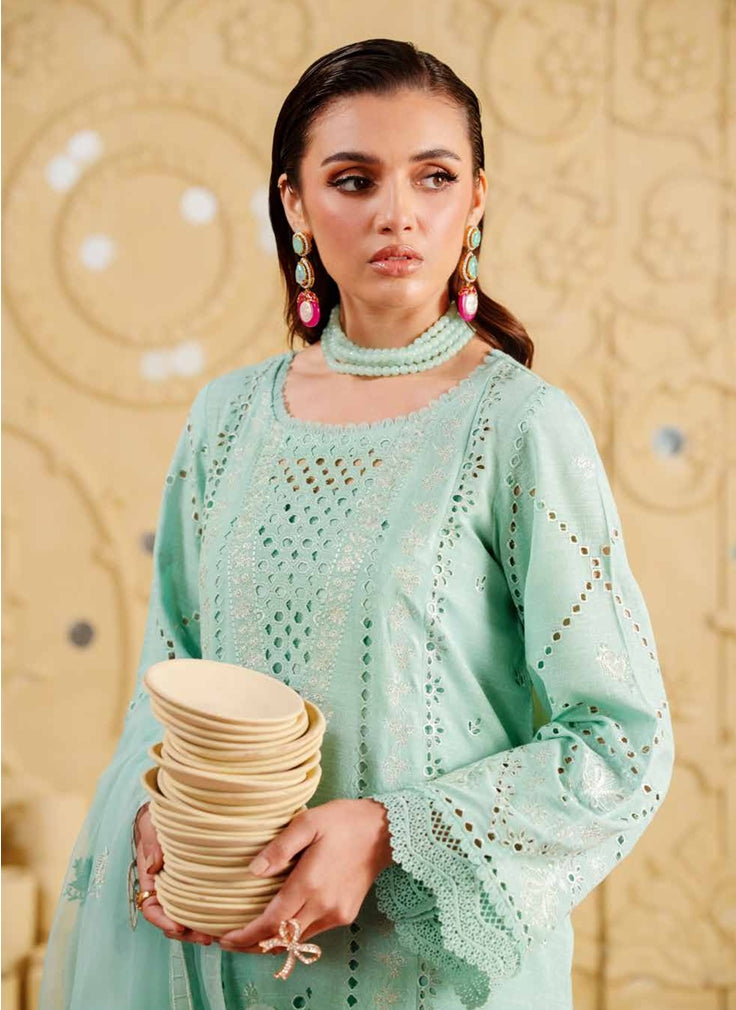 NUREH Embroidered Karandi Collection-NE-134